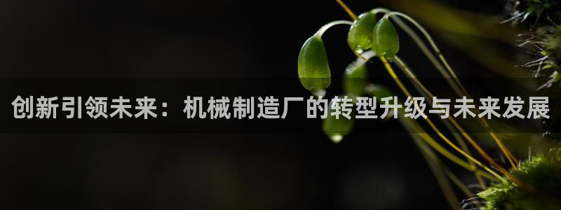 云顶集团市值