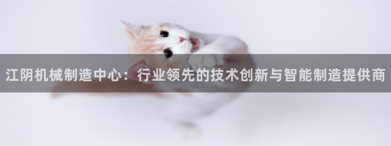 云顶国际服服务端错误