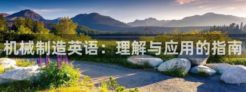 云顶国际服怎么玩