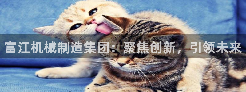 云顶国际高中学费多少