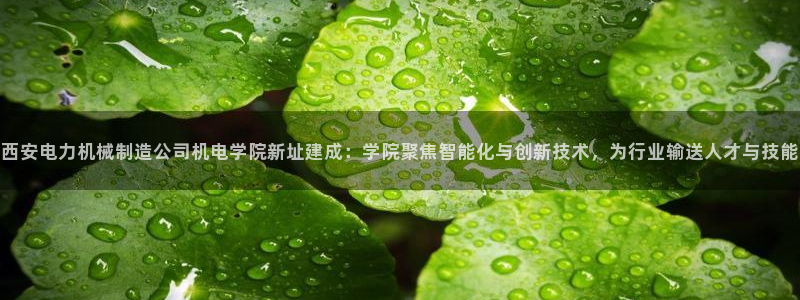 云顶国际中国官方网站入口