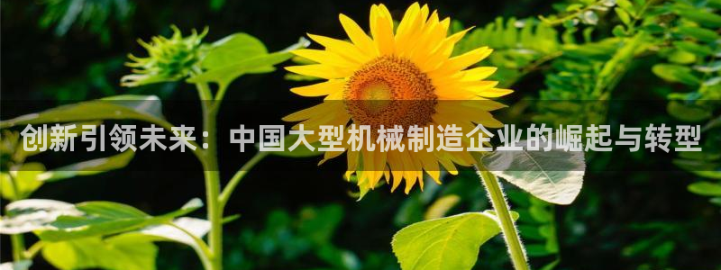 马来西亚云顶集团简介